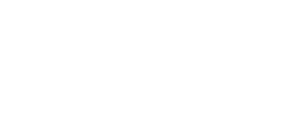 Australia–Afghanistan Friendship Awards logo (white)